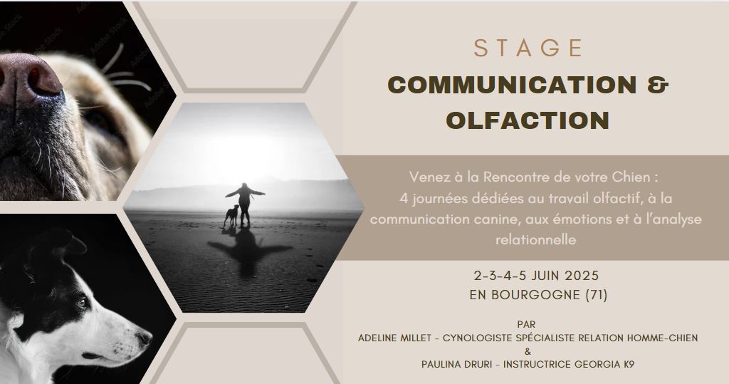 Stage " A la Rencontre de votre Chien " Juin 2025