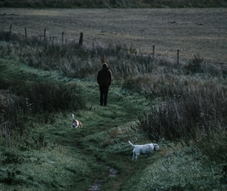 Promener son chien  : mode d'emploi !